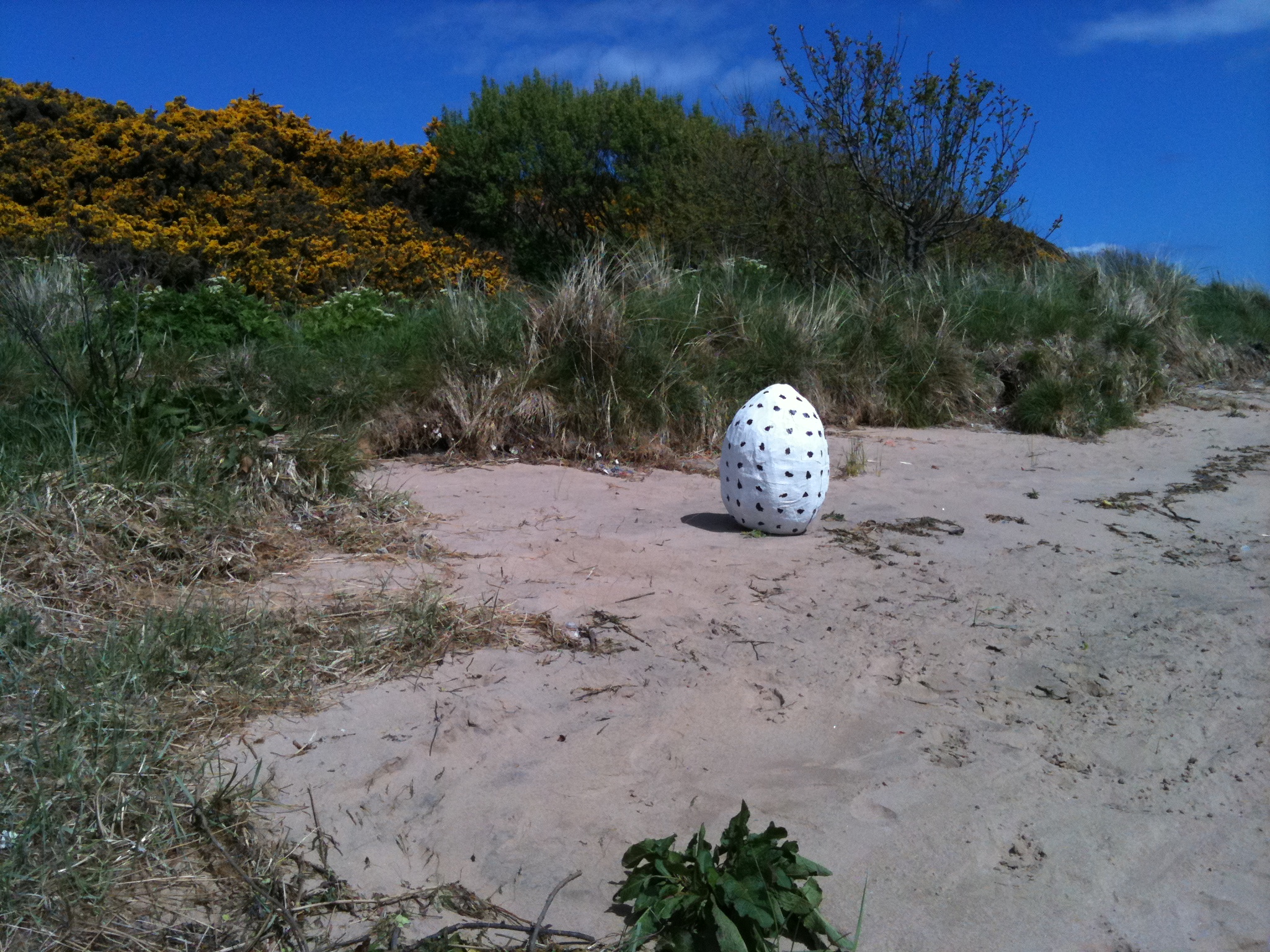 egg on beach